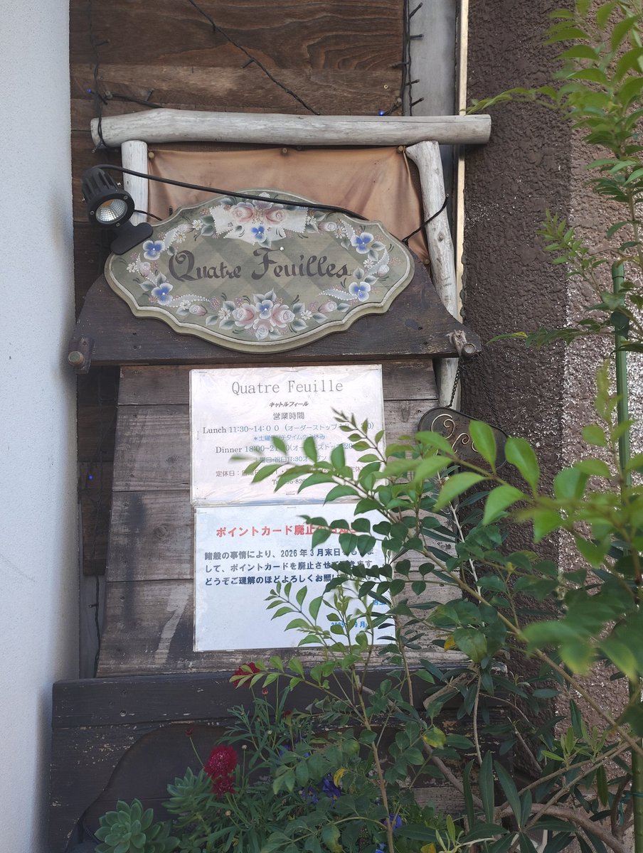 Assamtea58's tweet photo. ひとりランチ🍽️
🌱玄米リゾット
　そら豆・ブロッコリー
　かぼちゃ・さつまいも
　スナップエンドウ・トマト
🌱自家製かぼちゃプリン🍮🎃
＃キャトルフィール
＃おそとランチ𓎩𓌉𓇋 https://t.co/dIBMVVeAqi