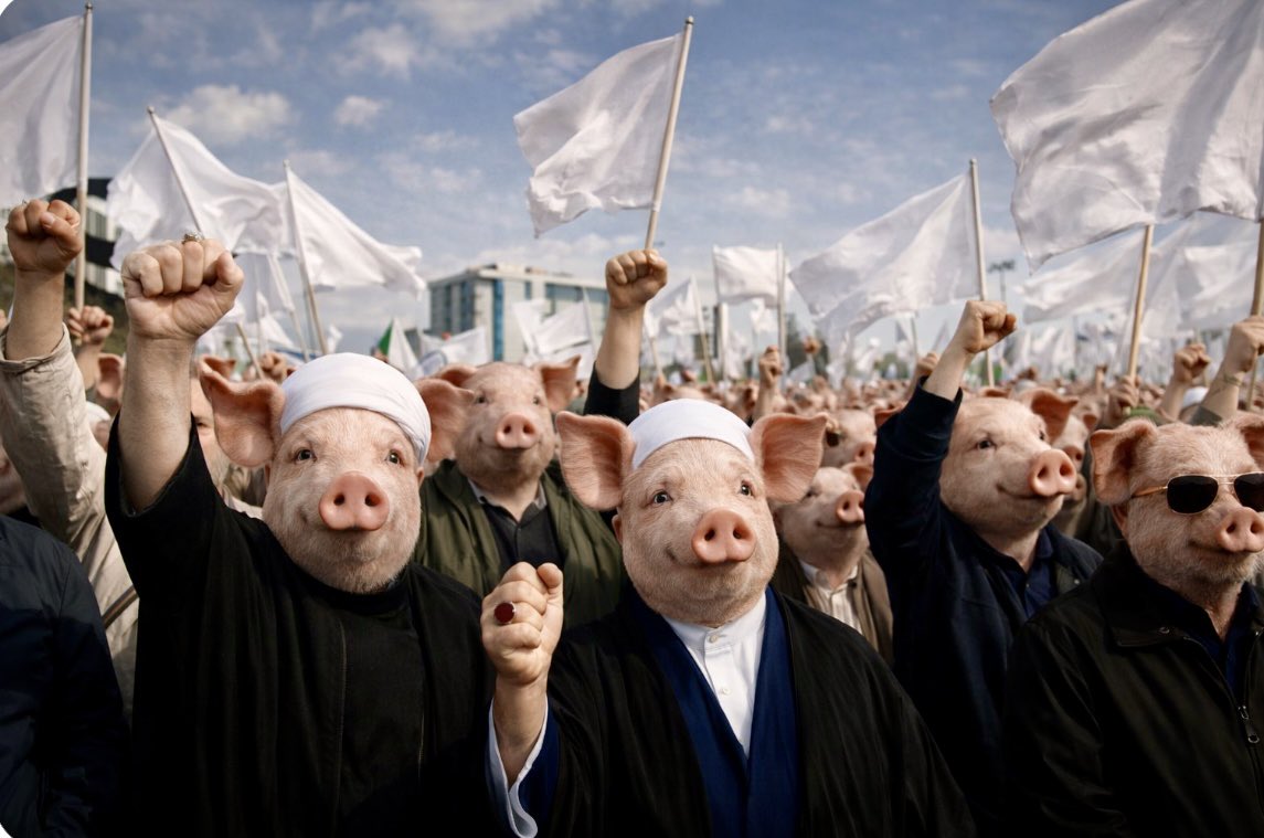 PlanterGrowerHarvester tweet media