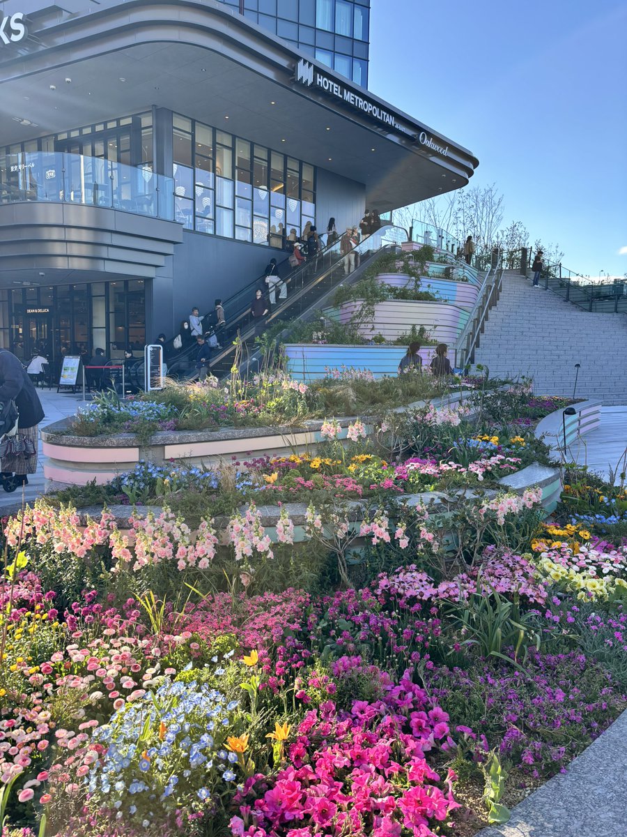 ほの໒꒱· ﾟ tweet media