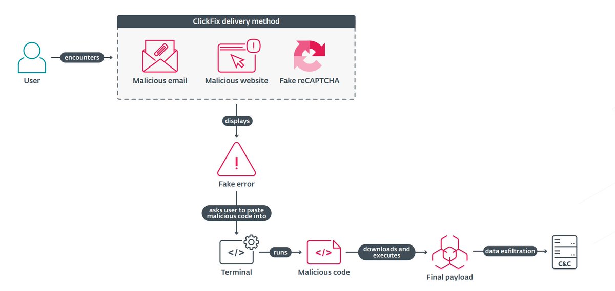 Gray Hats tweet media