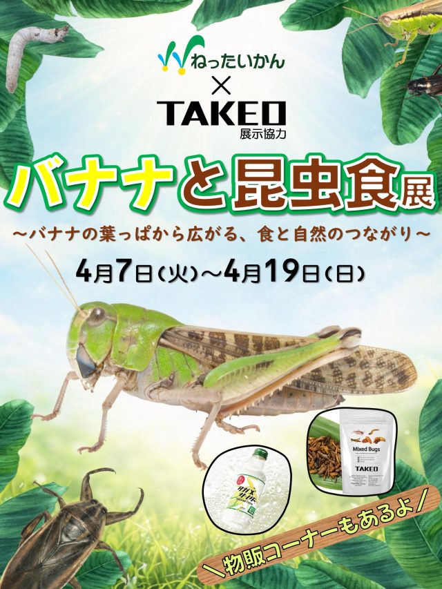 ［公式］TAKEO｜野菜、昆虫、魚、肉 tweet media