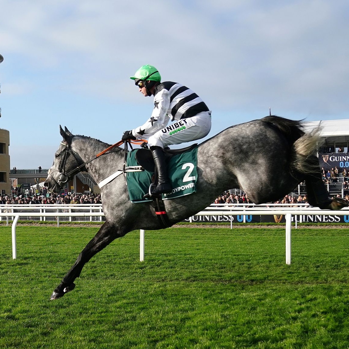 Racing Tips tweet media