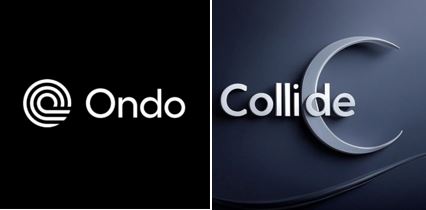 Collide ⚡️ tweet media