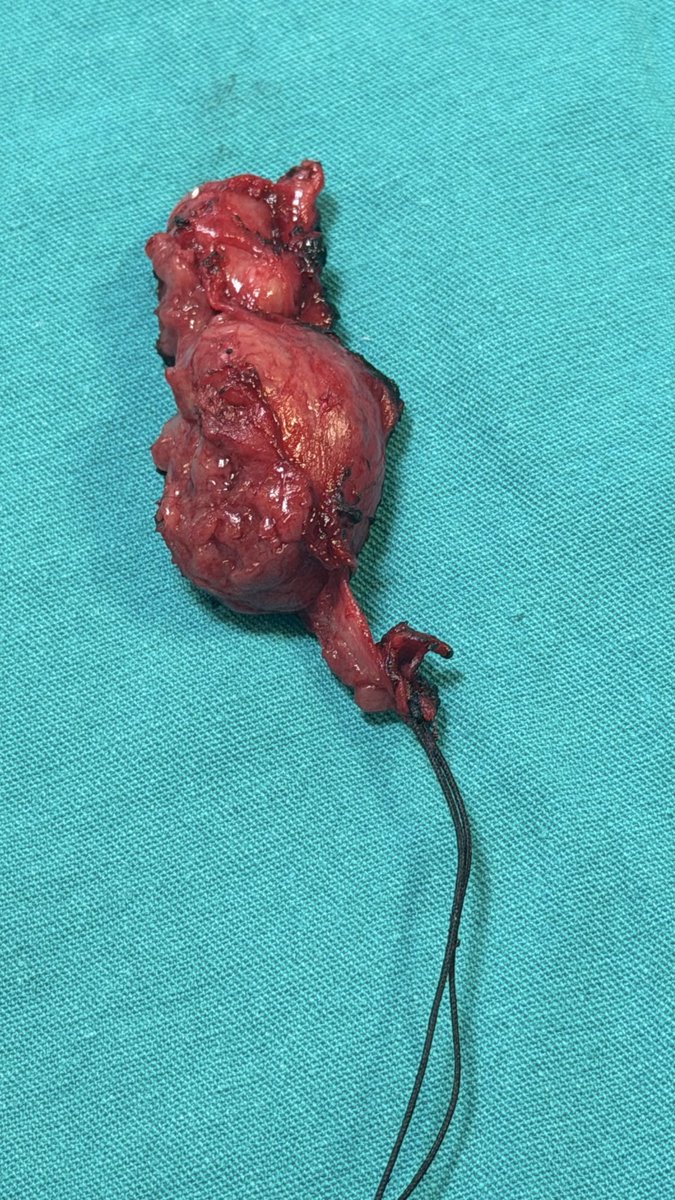 Op Dr Murat Sezgin tweet media