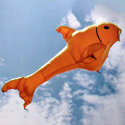 Kite Plan Base tweet media