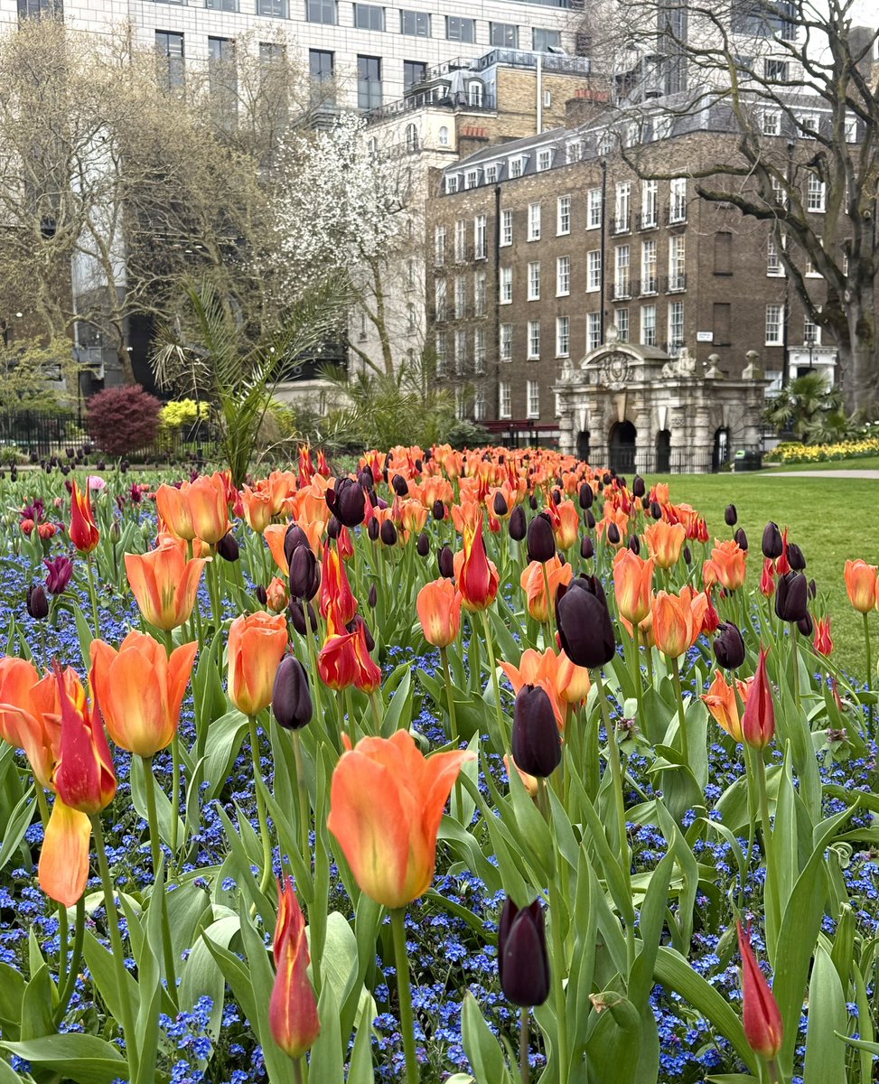 James Montgomery tweet media