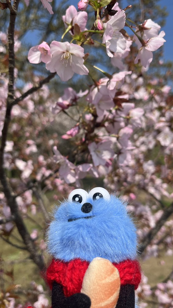 “とてと”なスンスン好き tweet media