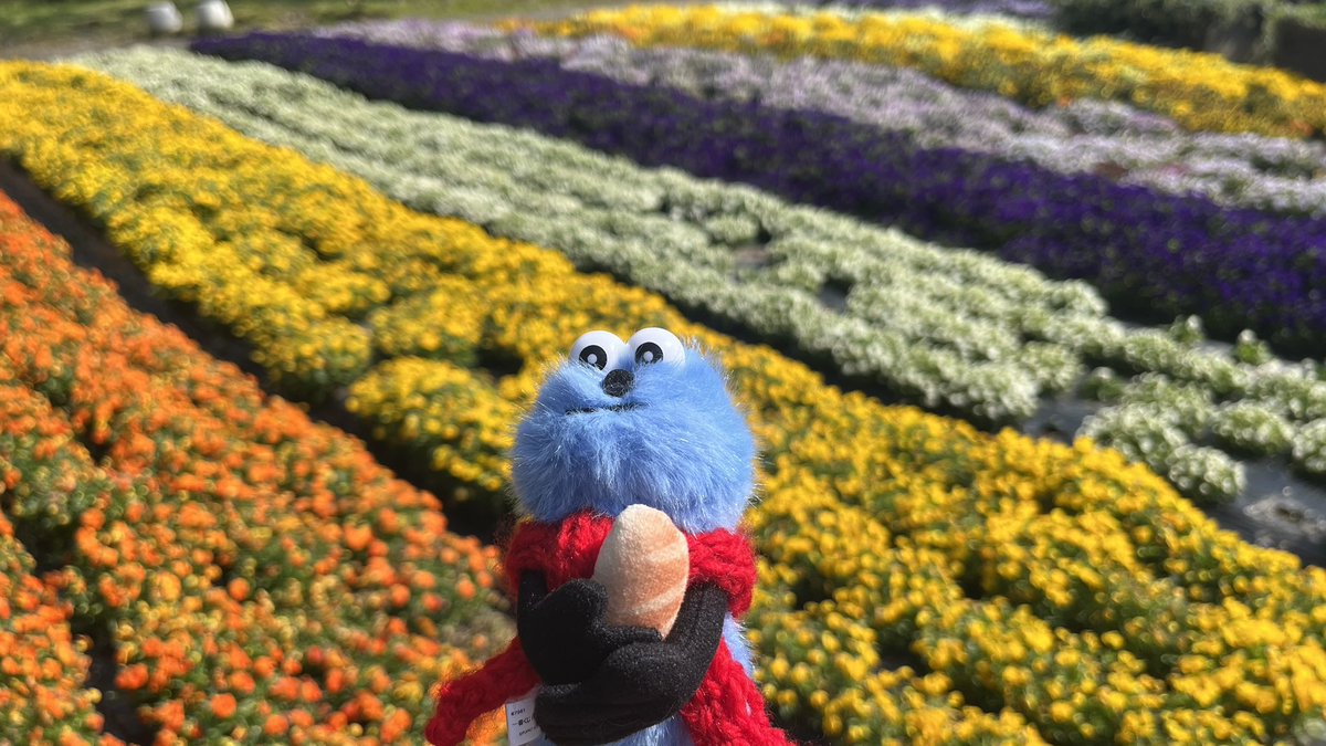 “とてと”なスンスン好き tweet media