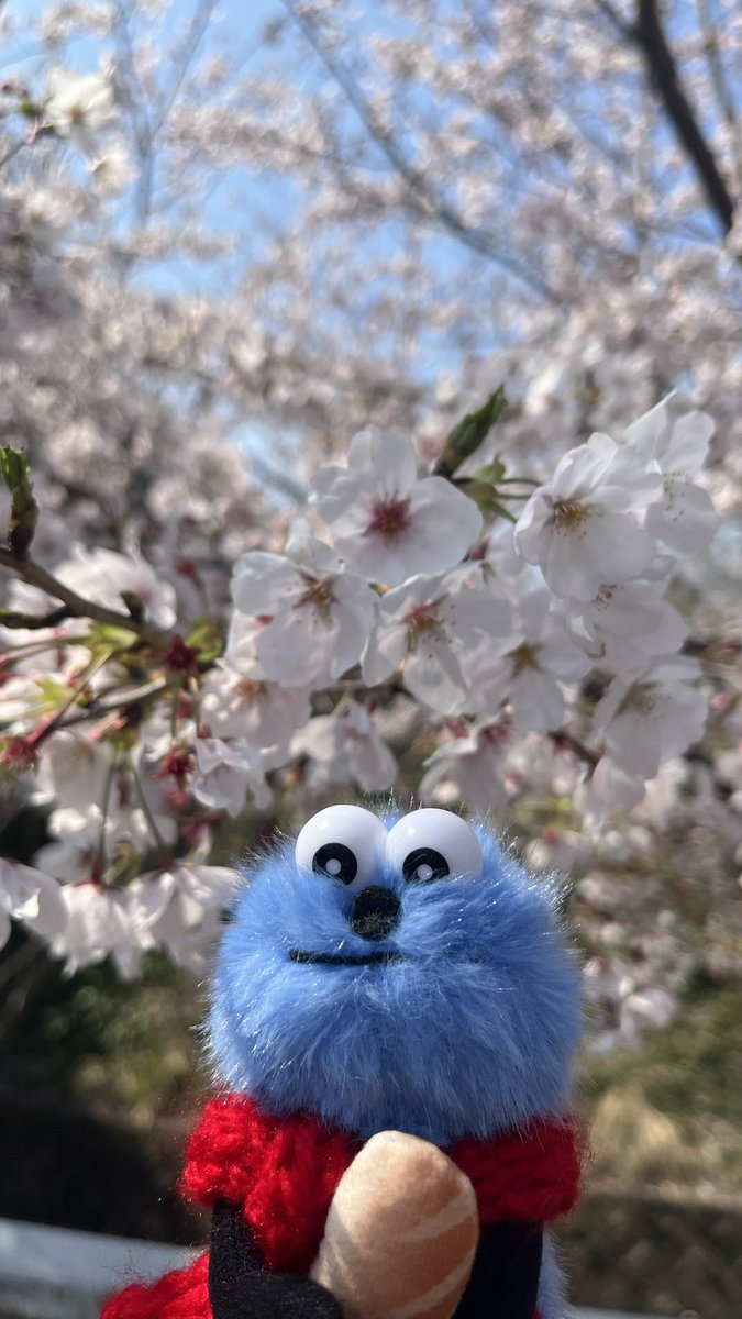 “とてと”なスンスン好き tweet media