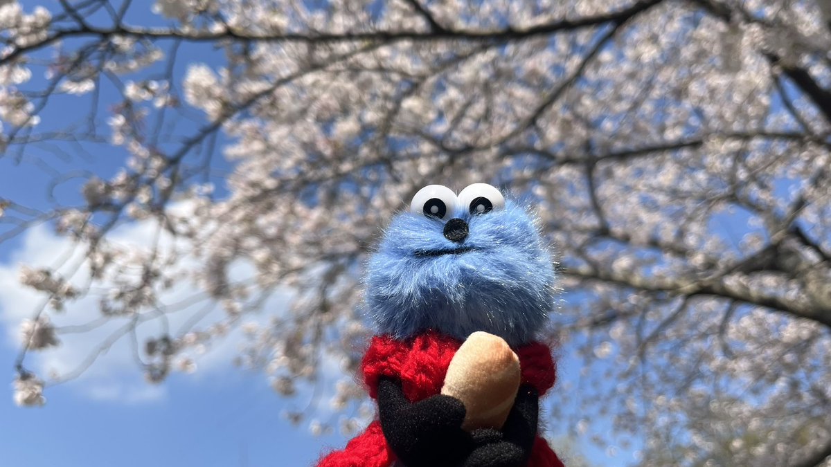 “とてと”なスンスン好き tweet media