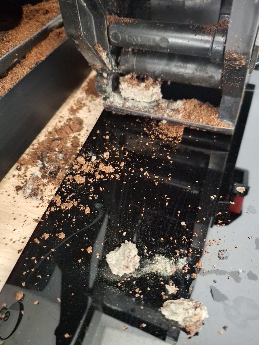 Arya Hissrad tweet media