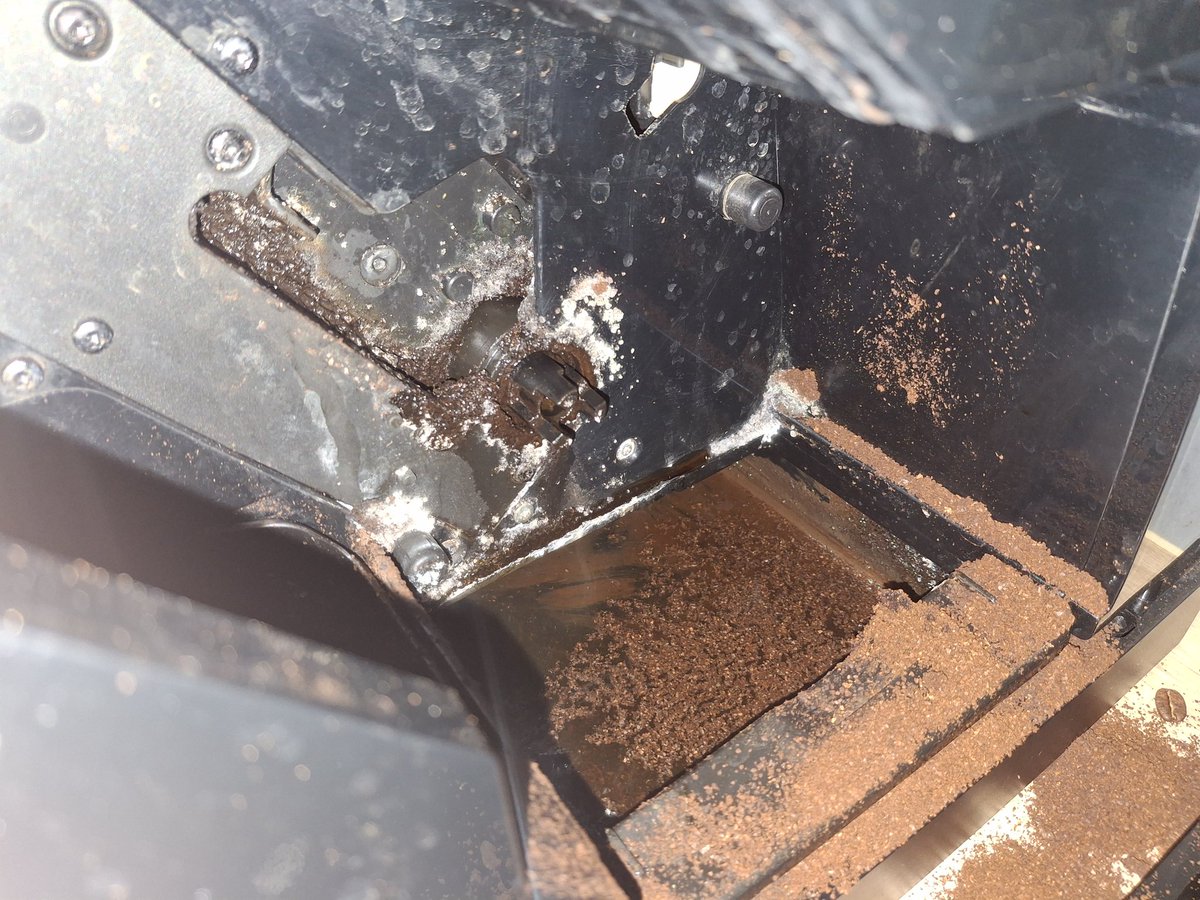 Arya Hissrad tweet media