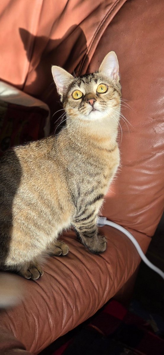 Cass ♡ tweet media