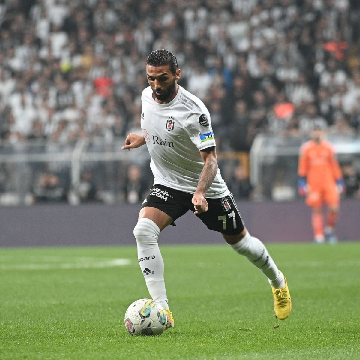 Deportes Reports tweet media