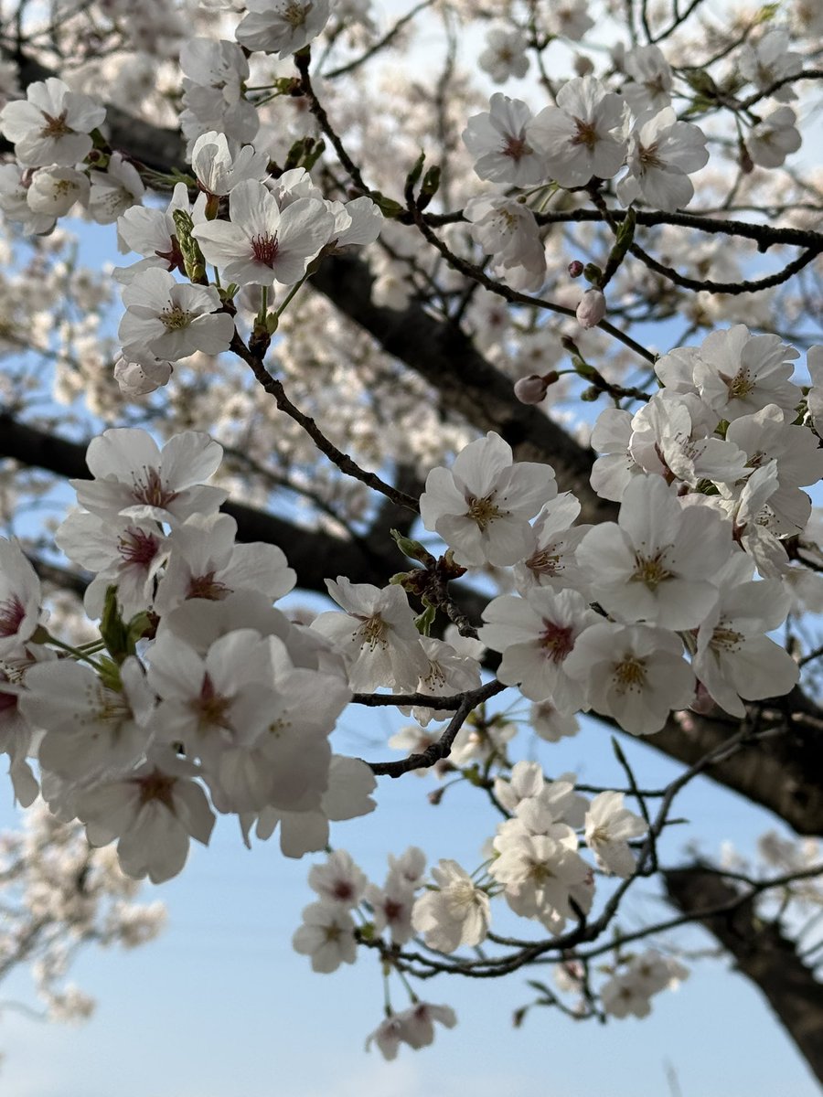 じゅん🎀 tweet media