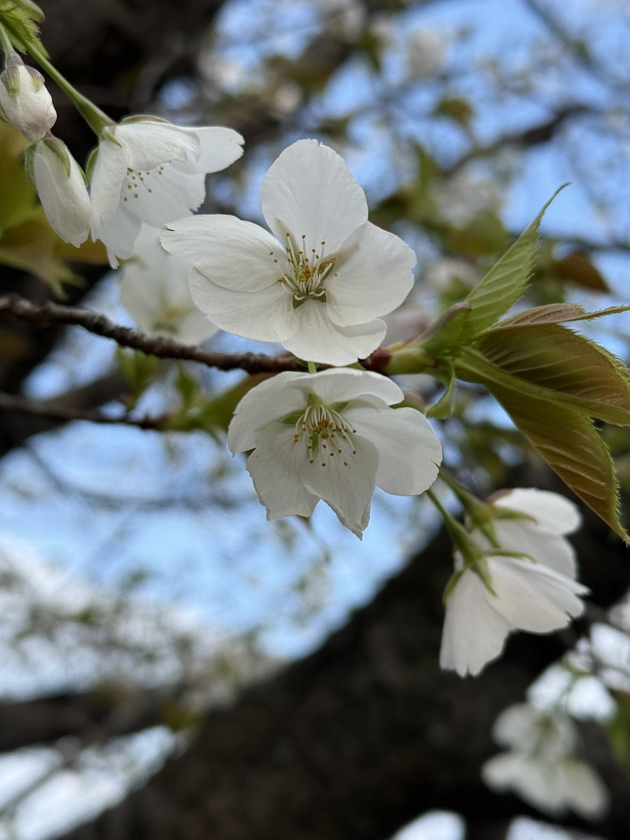 じゅん🎀 tweet media