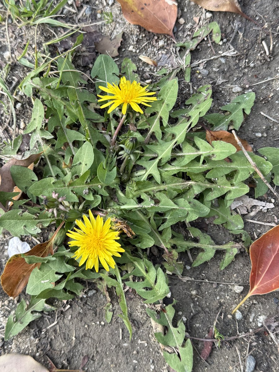 じゅん🎀 tweet media