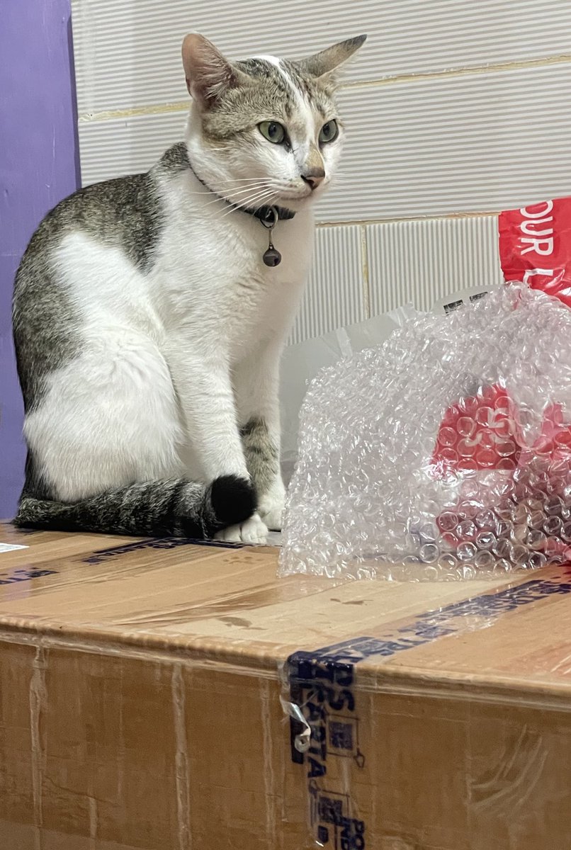 5⋆3 ೀ⋆｡˚ tweet media