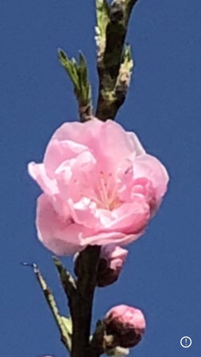 大和定寿 tweet media