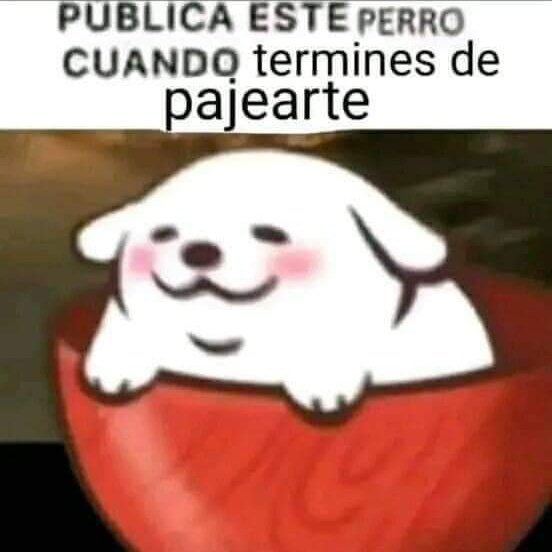 El perro cosmico tweet media