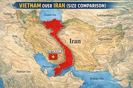 dDecentralized tweet media