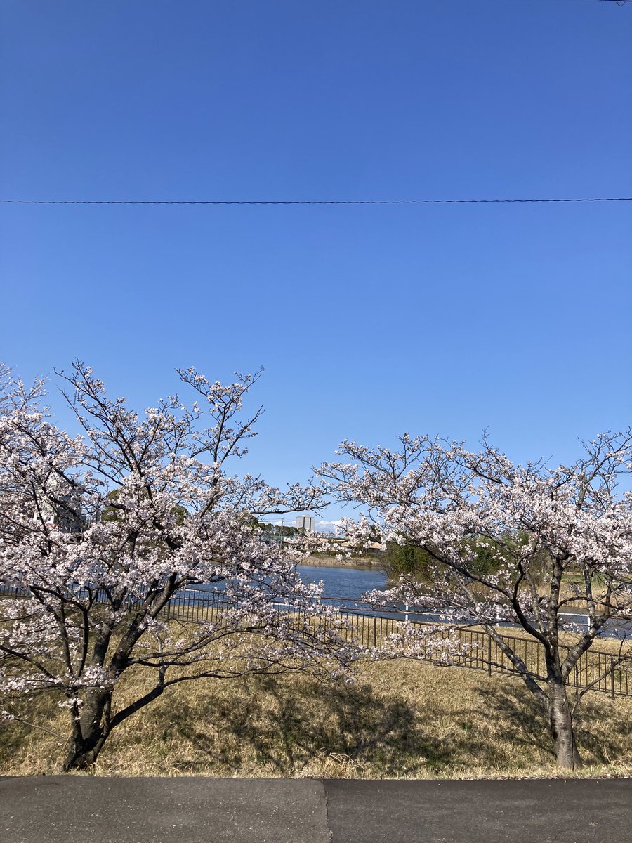 Minami@滋賀県湖南市公式Vtuber tweet media