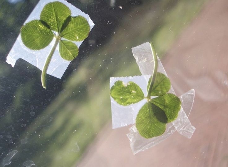 Abel of Creative Team, tweet media