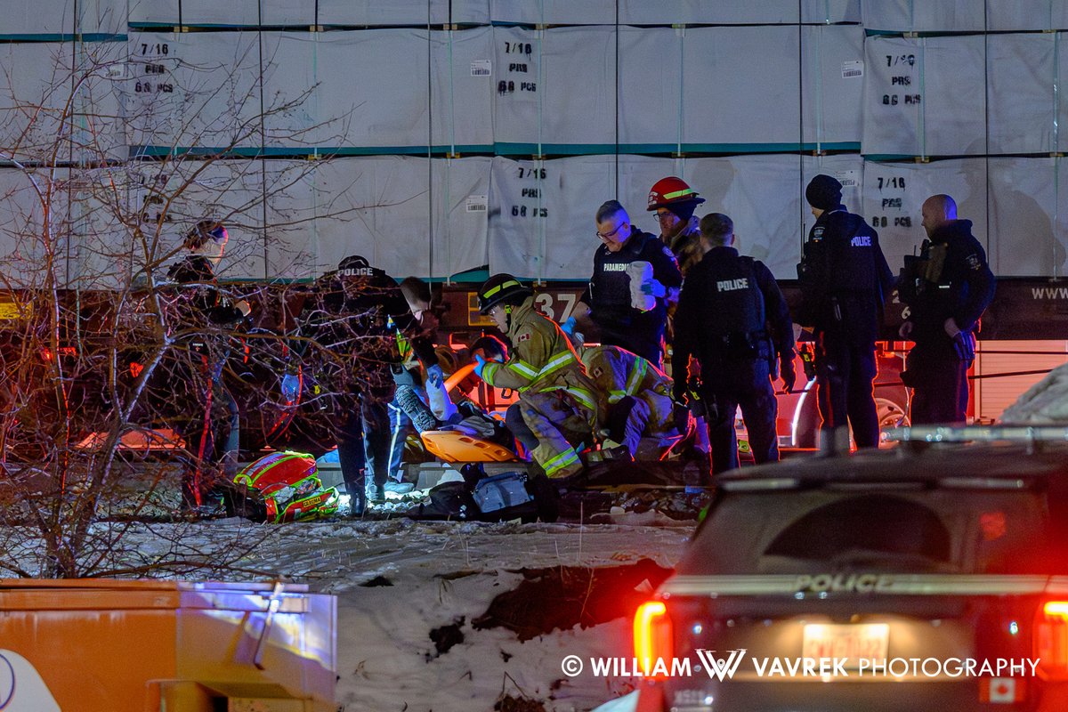 William Vavrek tweet media