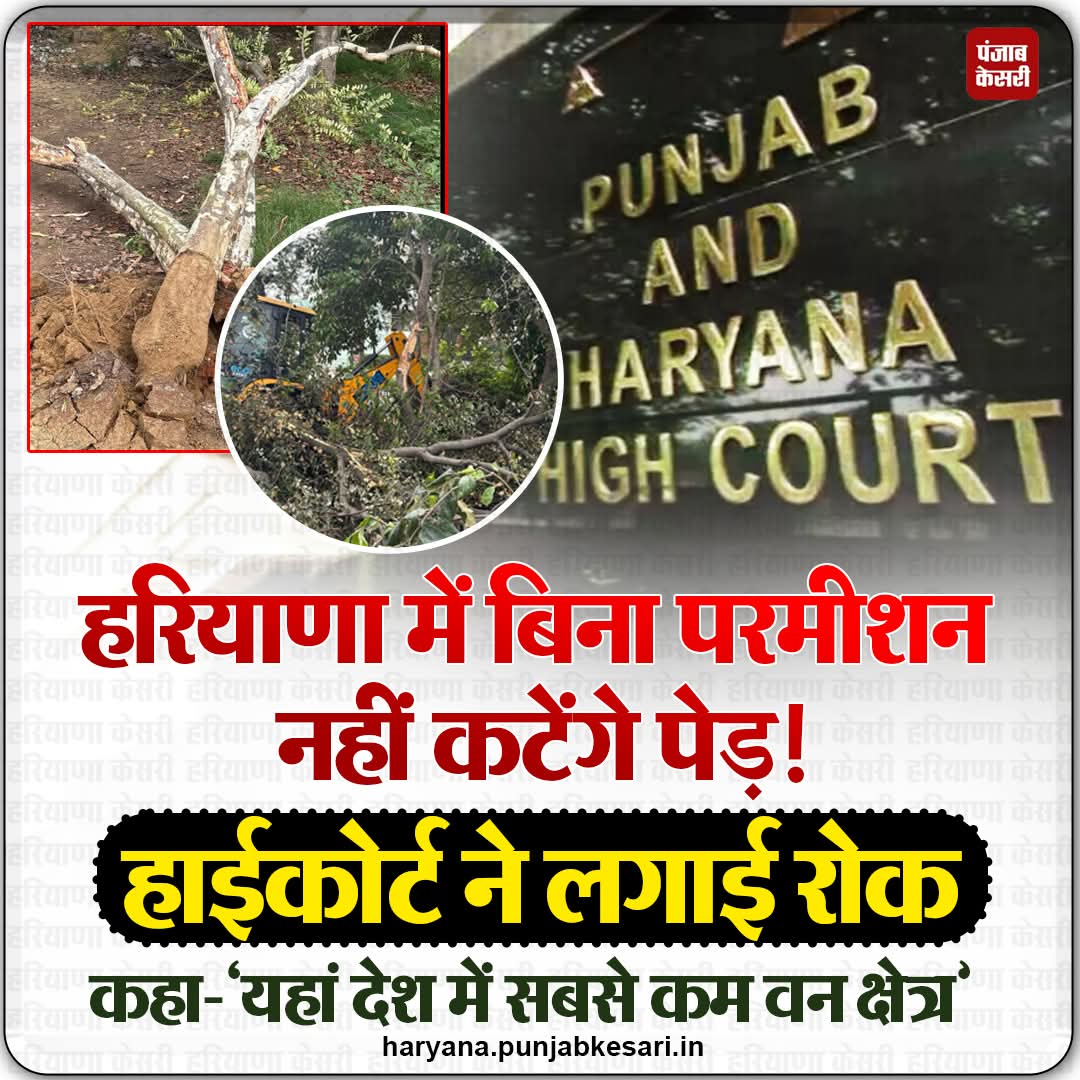 APillania's tweet image. पंजाब और हरियाणा हाईकोर्ट द्वारा पंजाब में बिना न्यायालय की पूर्व अनुमति के वृक्षों की कटाई पर रोक लगाने के निर्देश के ठीक 3 महीने बाद, आज एक खंडपीठ ने हरियाणा में भी वृक्षों की कटाई पर रोक लगा दी।
 
#Haryana #PunjabandHaryanaHighCourt #Ban  #Cuttingoftrees