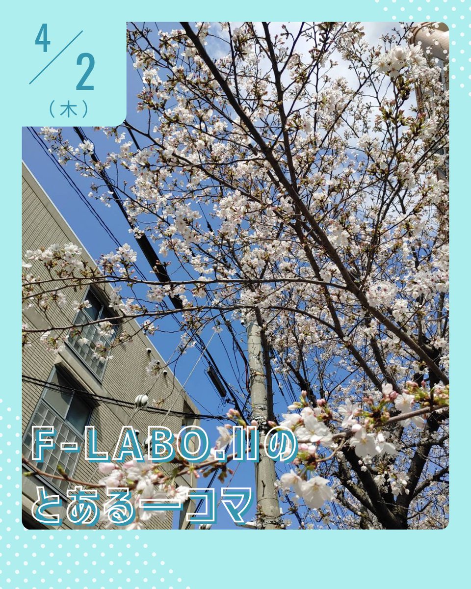 F_LABO2's tweet photo. こんにちは！F-LABO.Ⅱ（エフラボ2）です！💕  桜の季節ですね🌸 

もうすぐそこに春がやってきているんだなと感じて、こころもなんだかほっこりします😌  

4月は入学やスタートの季節💕 ご自分のペースで、やっていきましょう！
 #神戸市 #兵庫区 #自立訓練 #自立訓練事業所 #生活訓練 #福祉 https://t.co/GLjWGz2onH