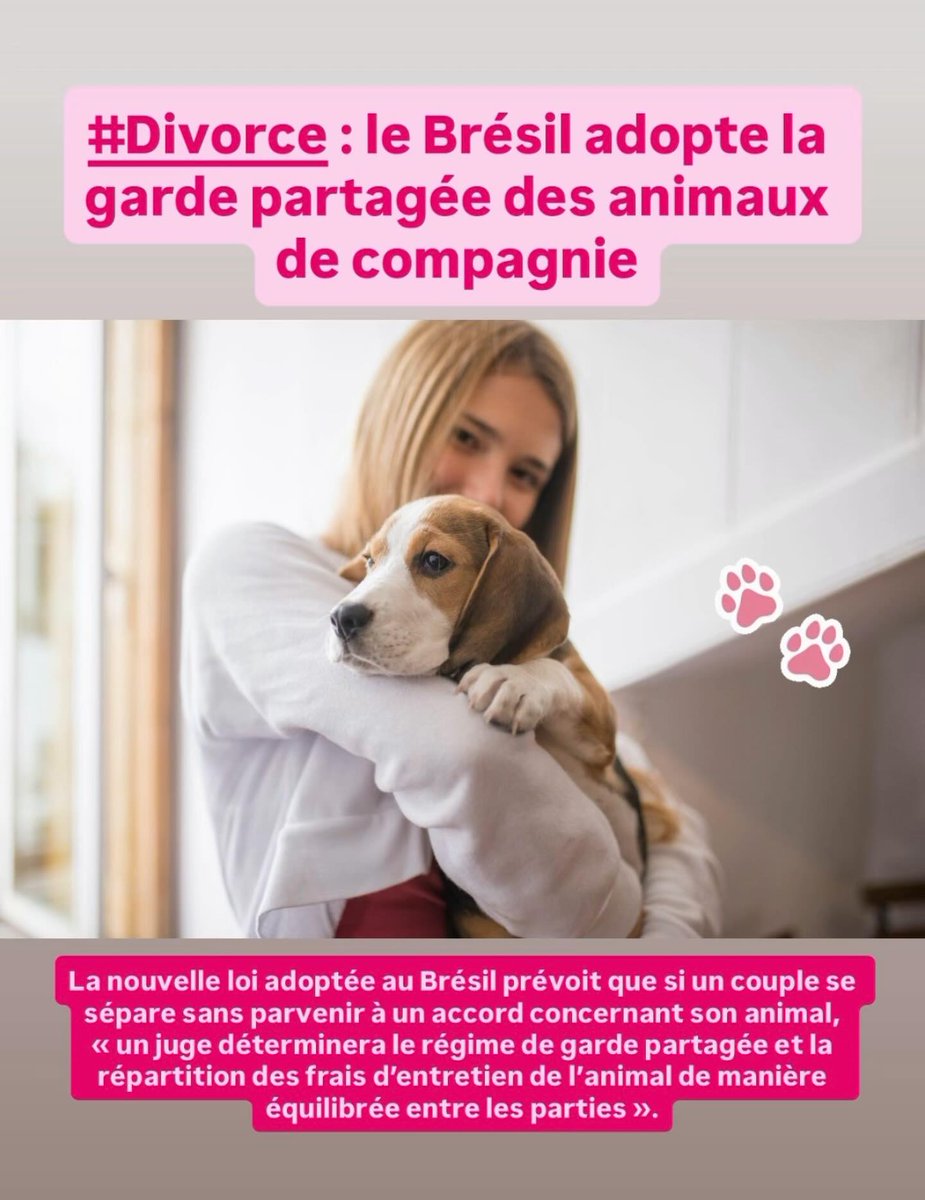 JaddeAvocats's tweet image. 🐶💔 Et si votre chien devenait un enjeu de divorce ?
Le Brésil reconnaît désormais la garde partagée des animaux de compagnie.
Une évolution majeure qui confirme que nos compagnons ne sont plus de simples biens…
#divorce 
urls.fr/YCo9pF
