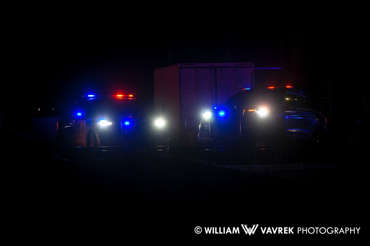 William Vavrek tweet media