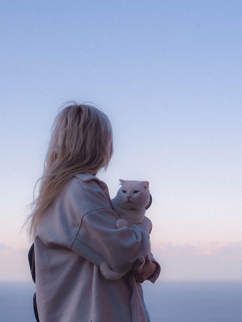 Alicia Smith tweet media