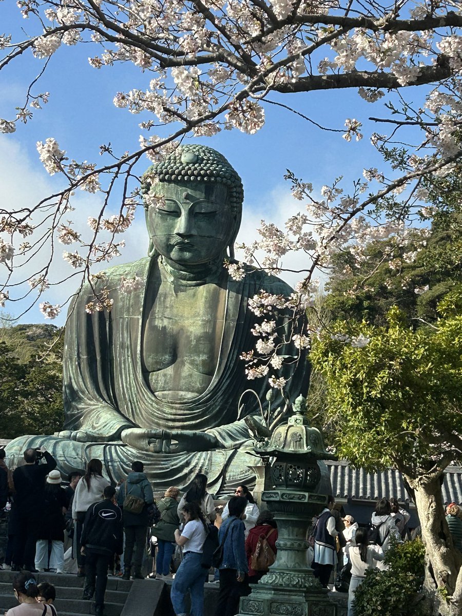 ちぇる tweet media