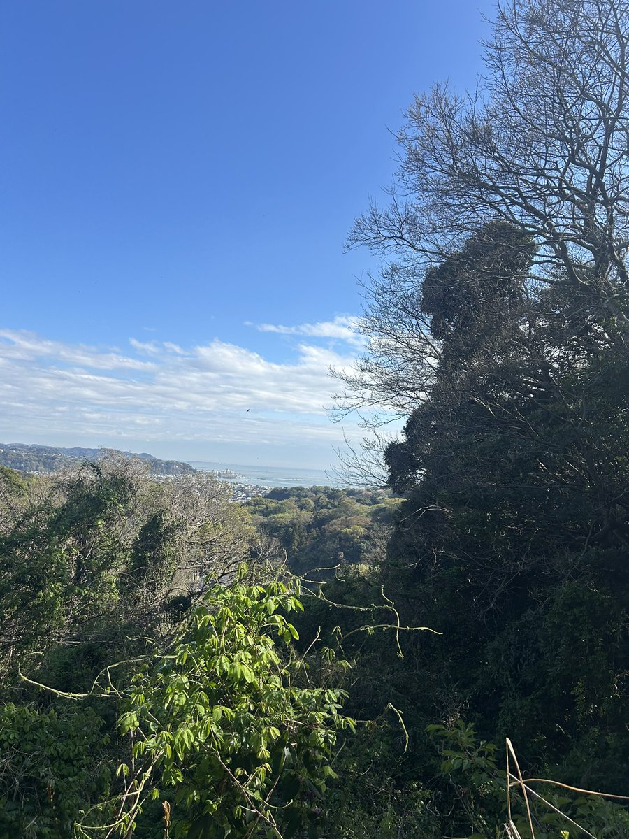 ちぇる tweet media