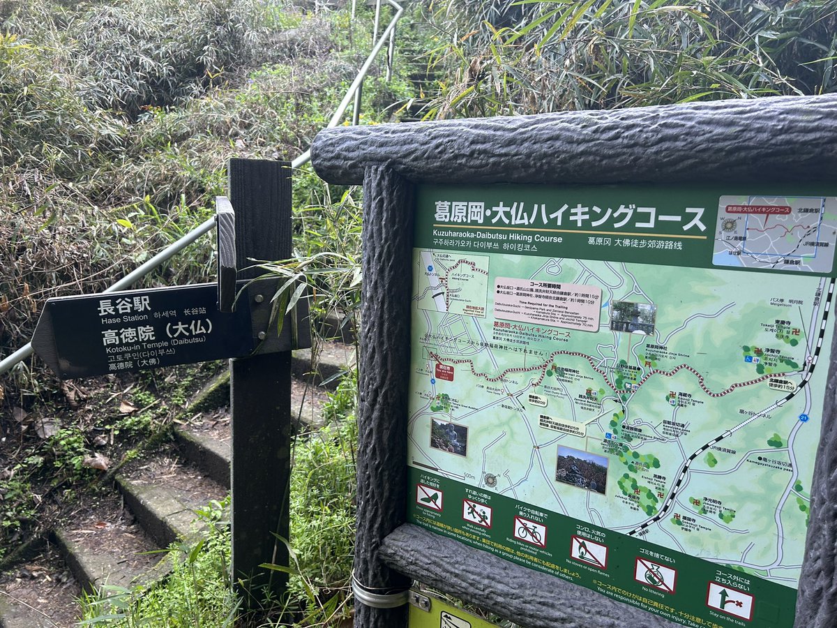 ちぇる tweet media