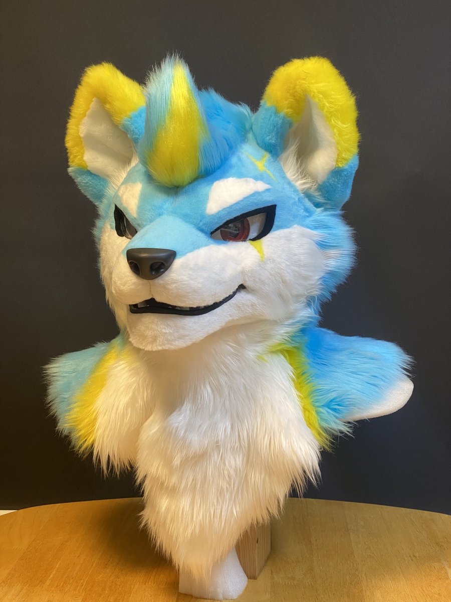 Rai Husky tweet media