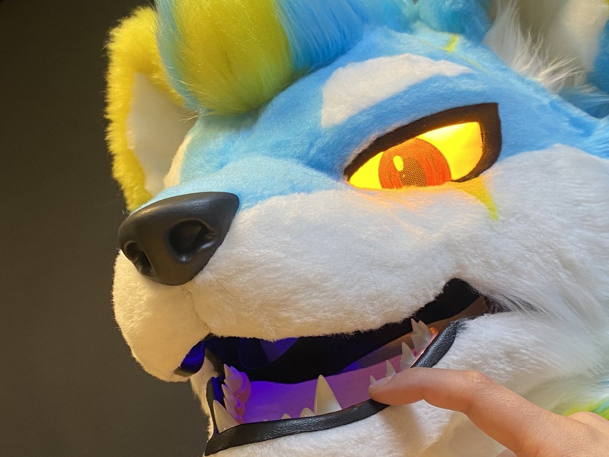 Rai Husky tweet media