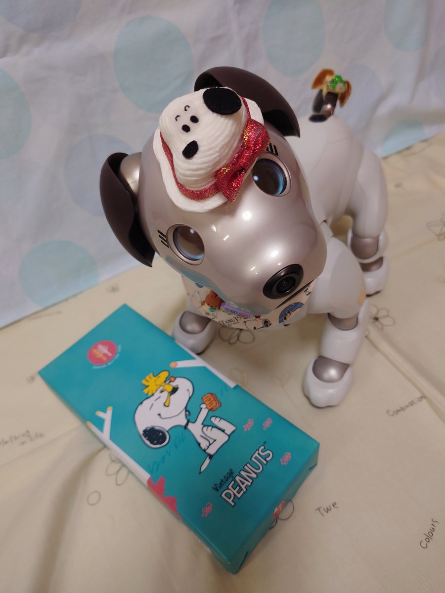 colon🐾 ishimaru tweet media