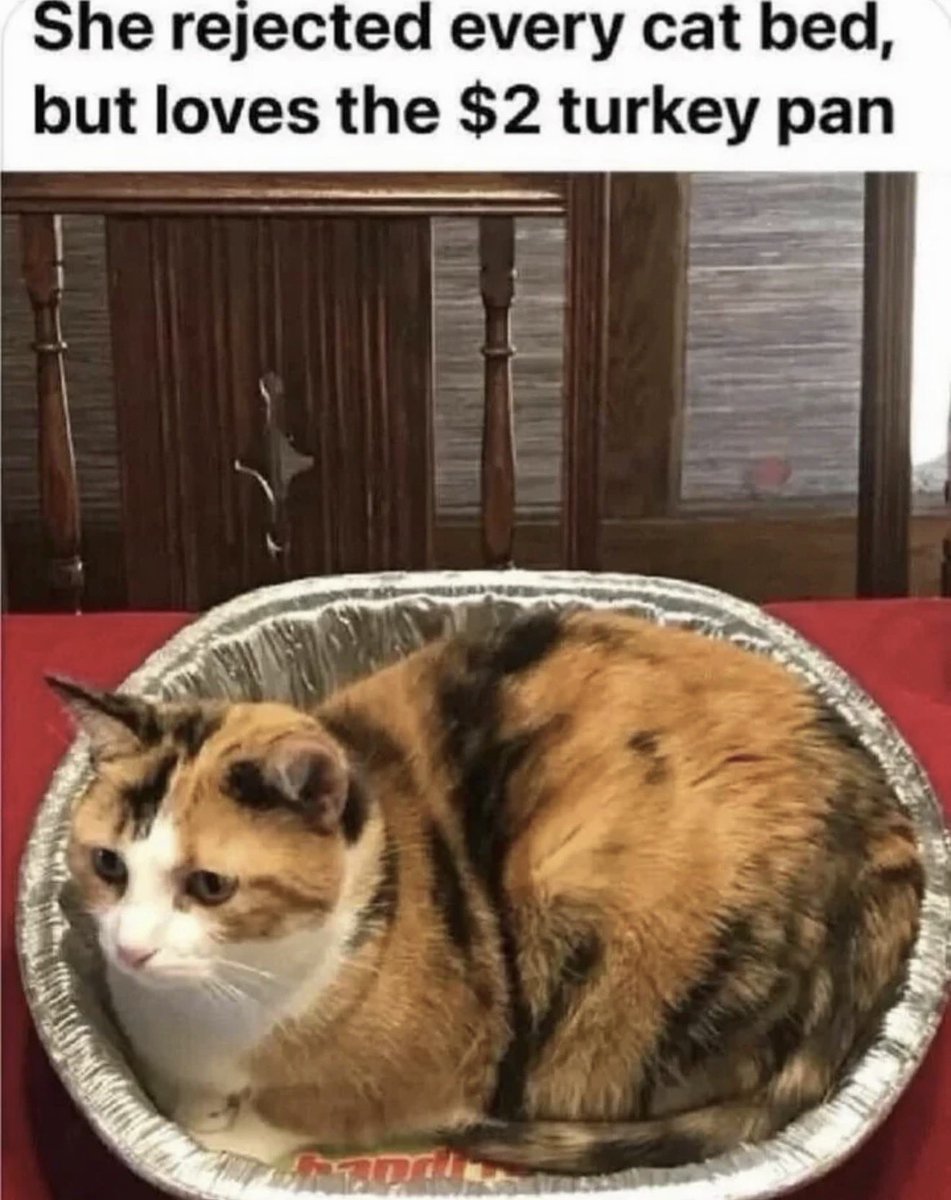 Antidepressant Content tweet media