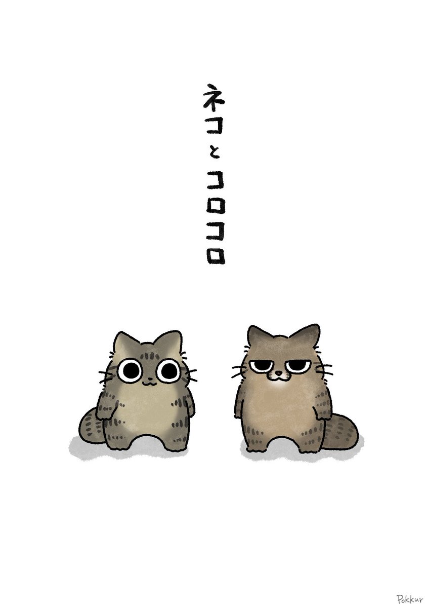 Pokkur(ぽっくる) tweet media