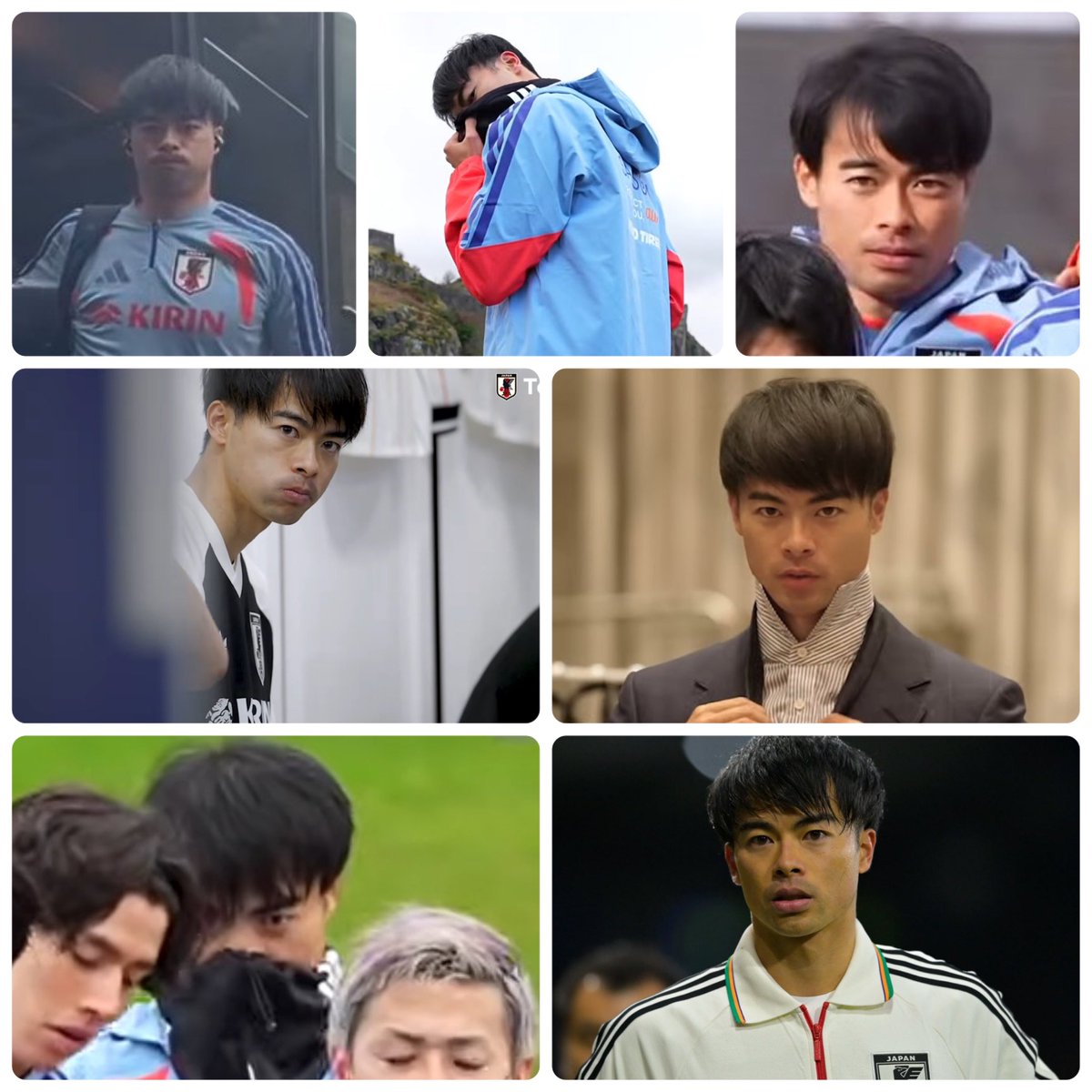 ぽぬこ tweet media