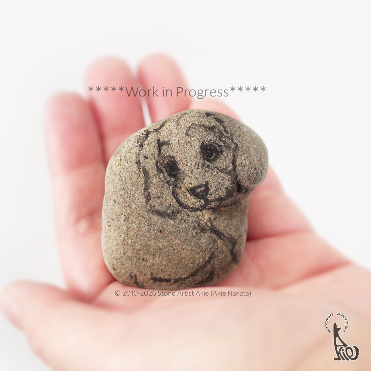 Stone Artist Akie (Akie Nakata) tweet media