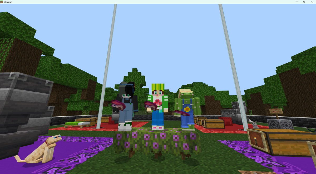 ひりぐり🌿🍍 tweet media