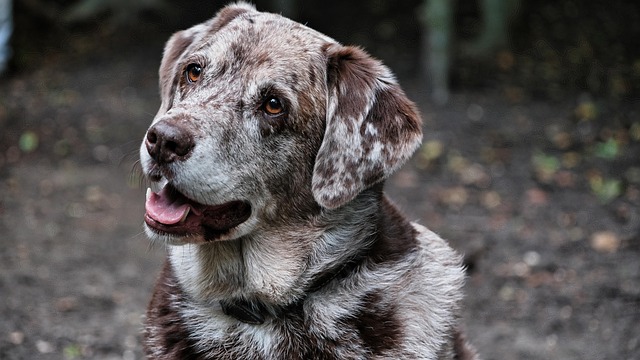 James Richter tweet media