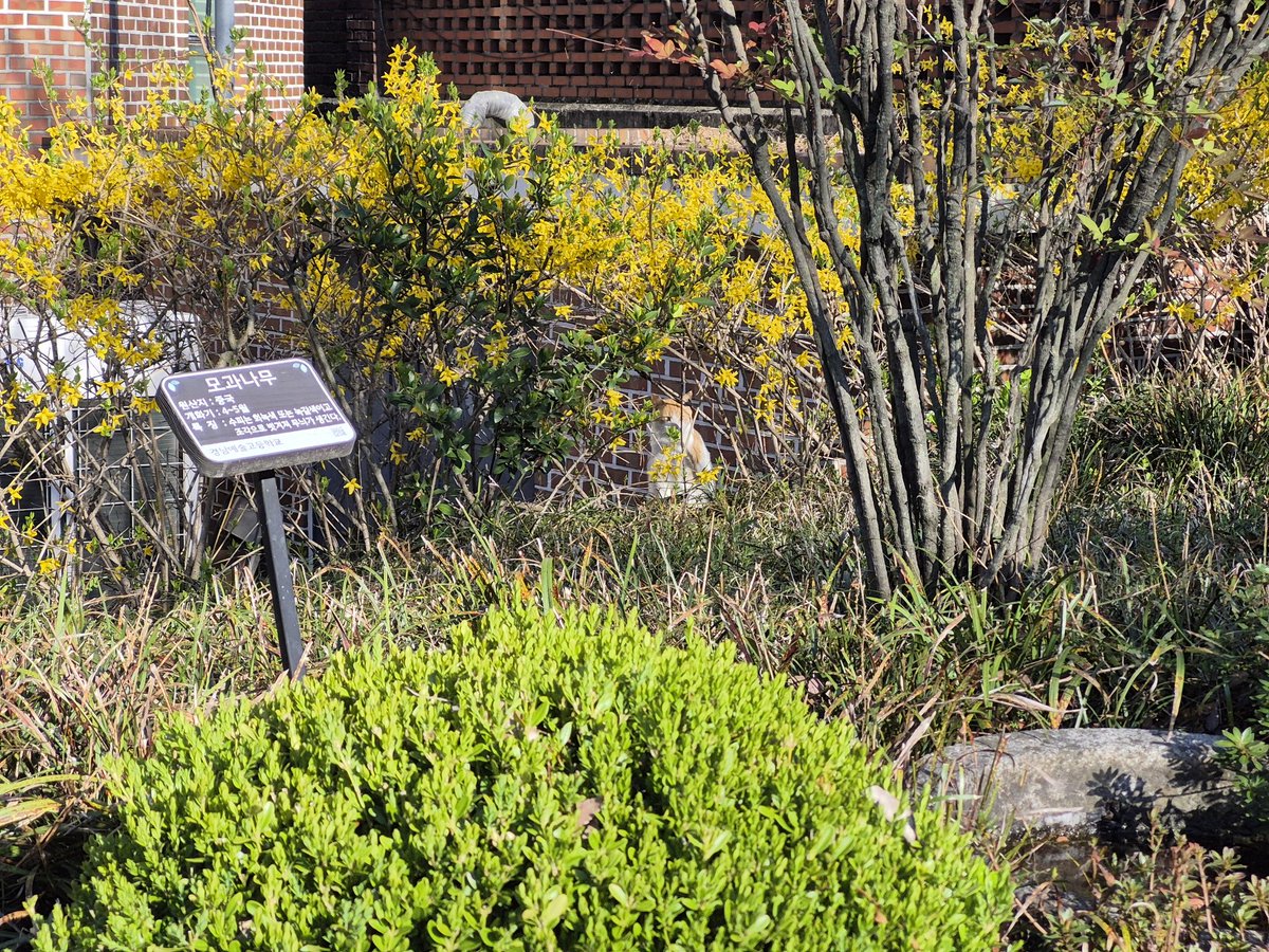 으르르왈 tweet media