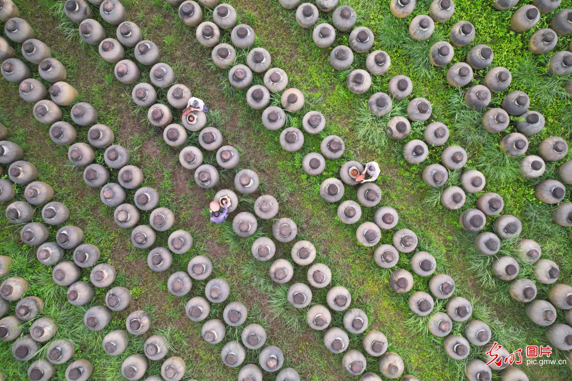 Guangming Daily tweet media