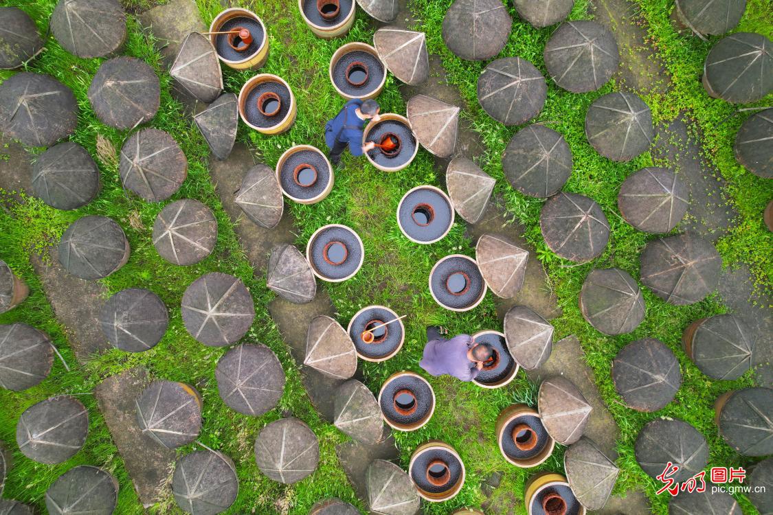 Guangming Daily tweet media