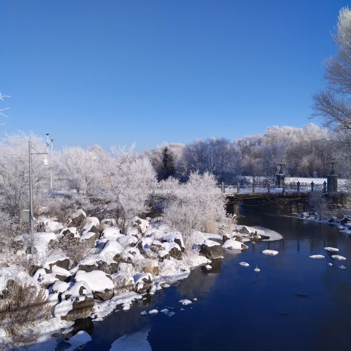 酔っ子 tweet media