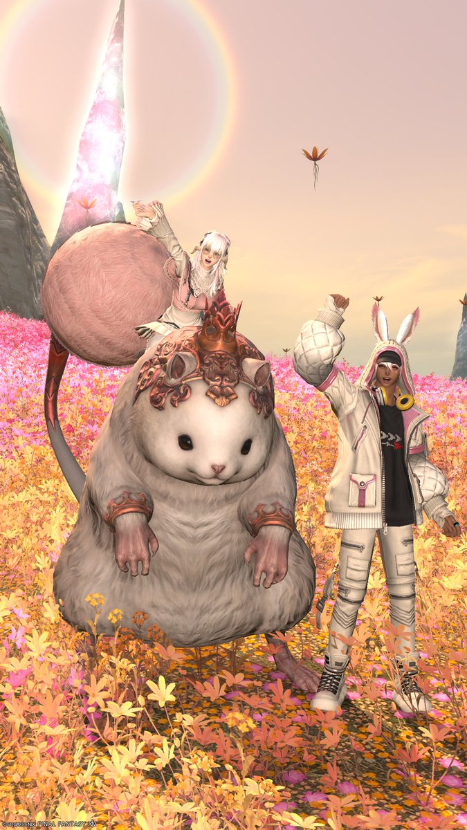 エリカ ʚ❤︎ɞ tweet media